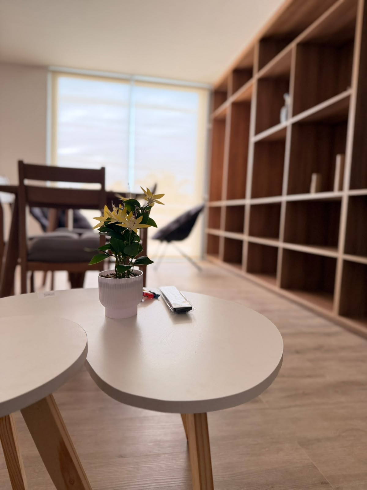 Detalle de las mesas del living con una planta